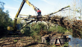 débardage de bois-énergie