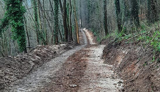 création d'une piste dans les bois